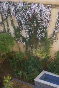 A thousand and one perfumes.