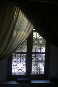 View from the mint tea room.